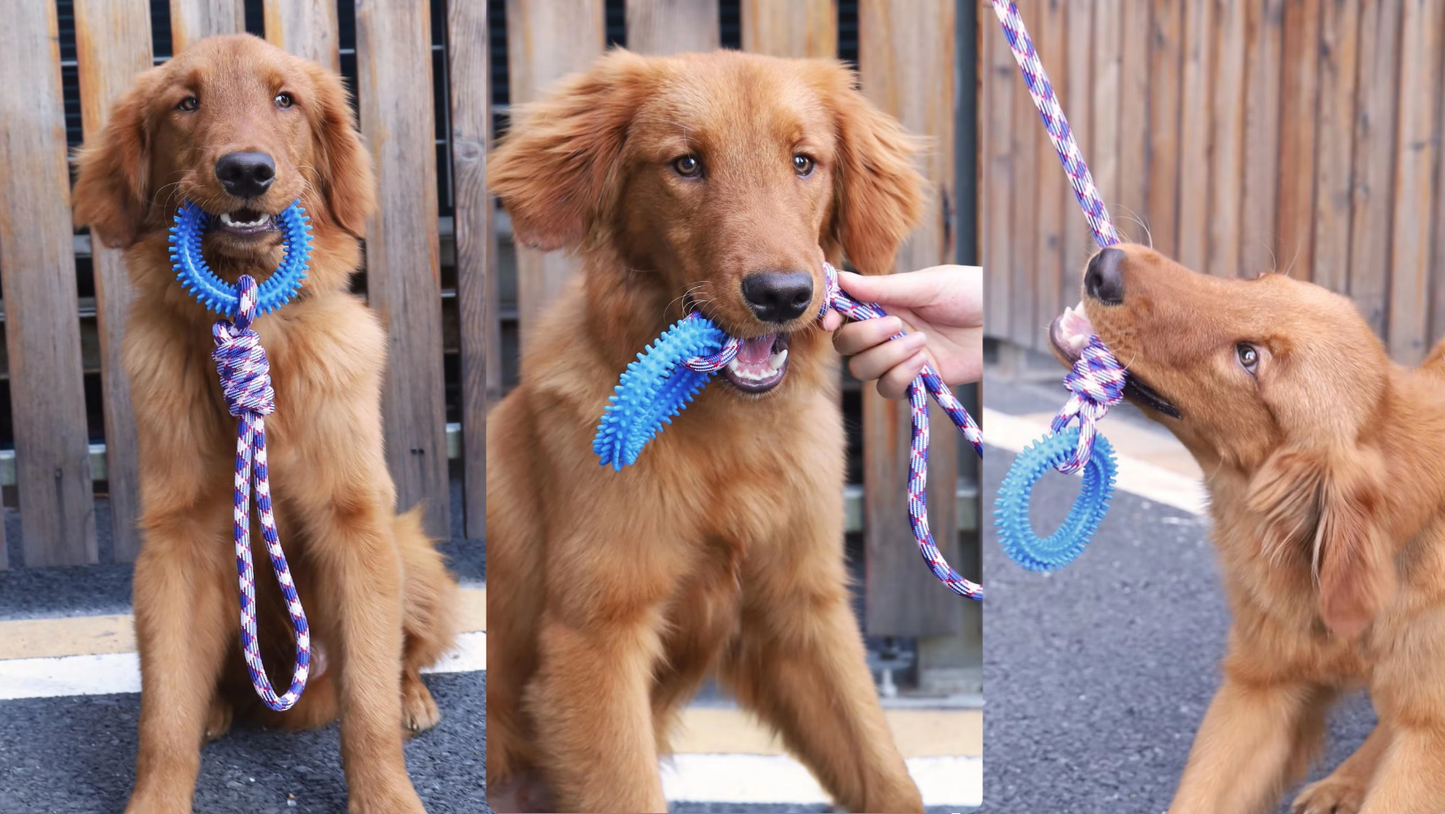 Dog Toys Chew Toys for Dogs Interactive Training Pet Toy Ring Spiked Ring Dog Teeth Cleaning